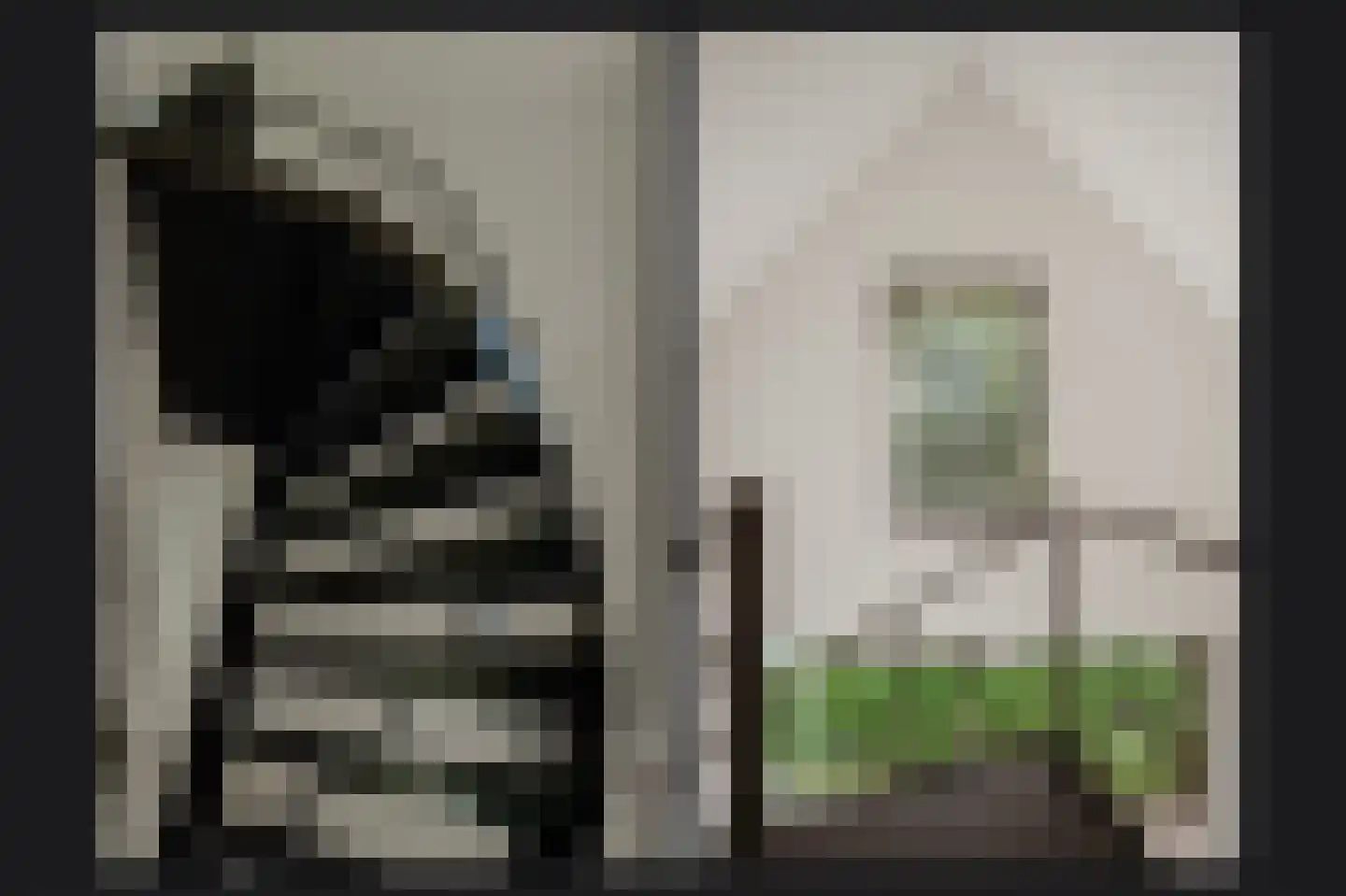 Sterrenbos 1 Sint-Michielsgestel thumbnail 22