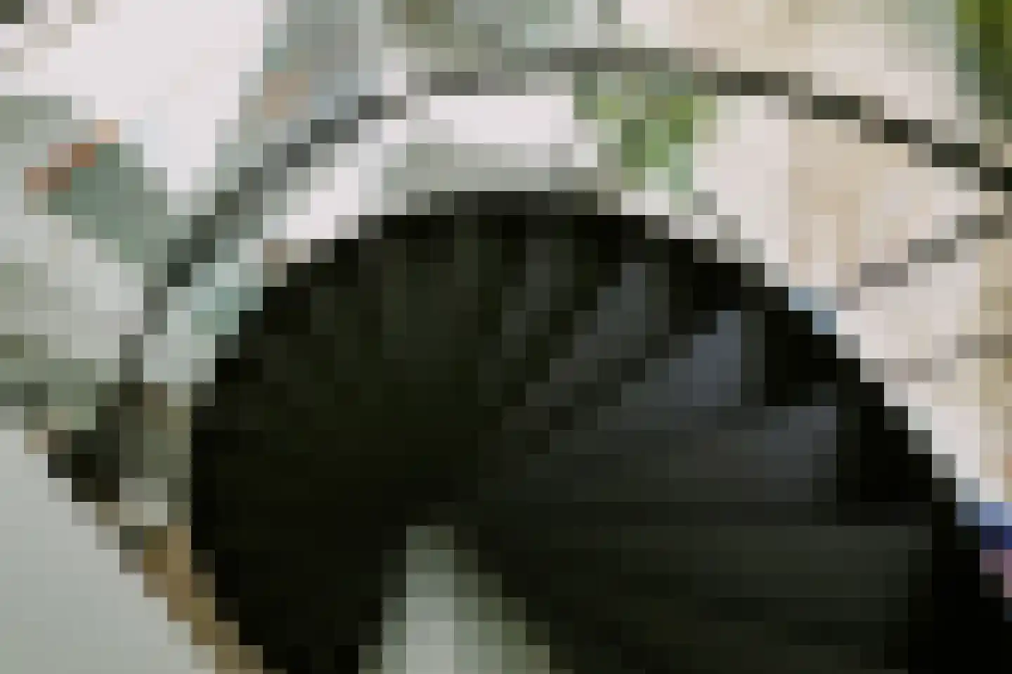 Sterrenbos 1 Sint-Michielsgestel thumbnail 23
