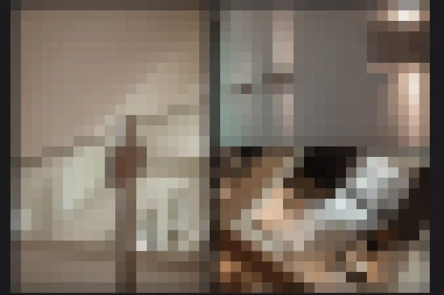 Sterrenbos 1 Sint-Michielsgestel thumbnail 33