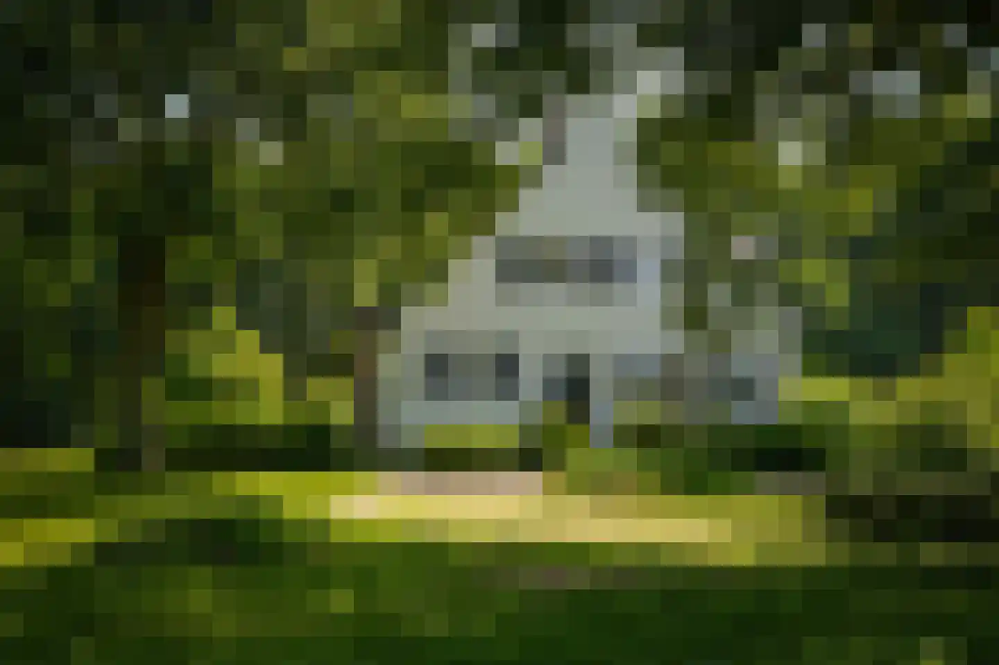 Sterrenbos 1 Sint-Michielsgestel thumbnail 34