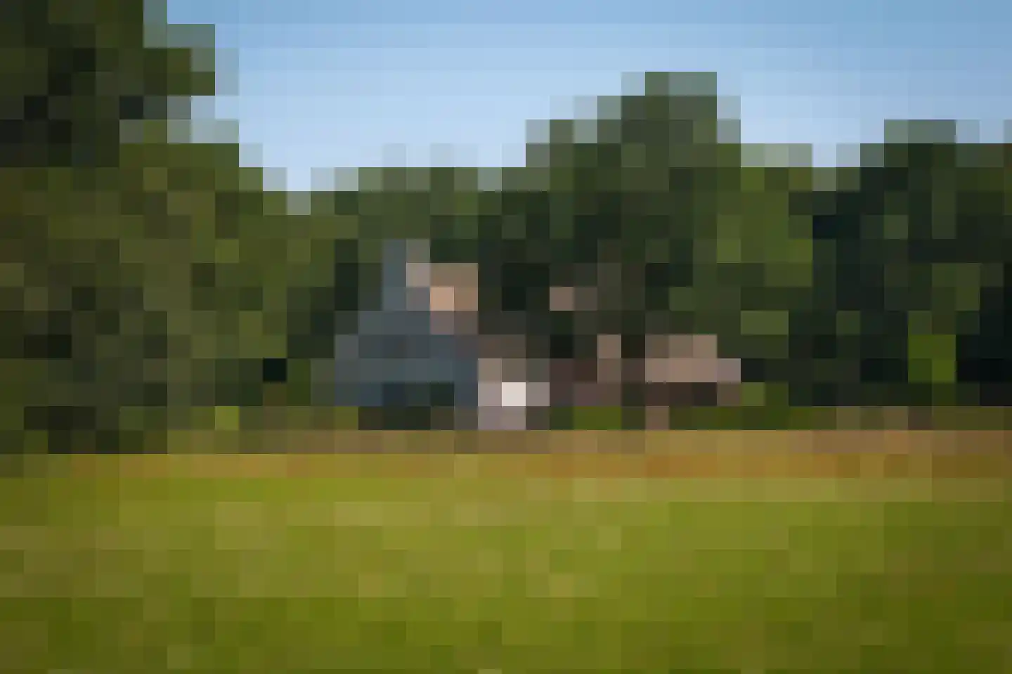Sterrenbos 1 Sint-Michielsgestel thumbnail 4