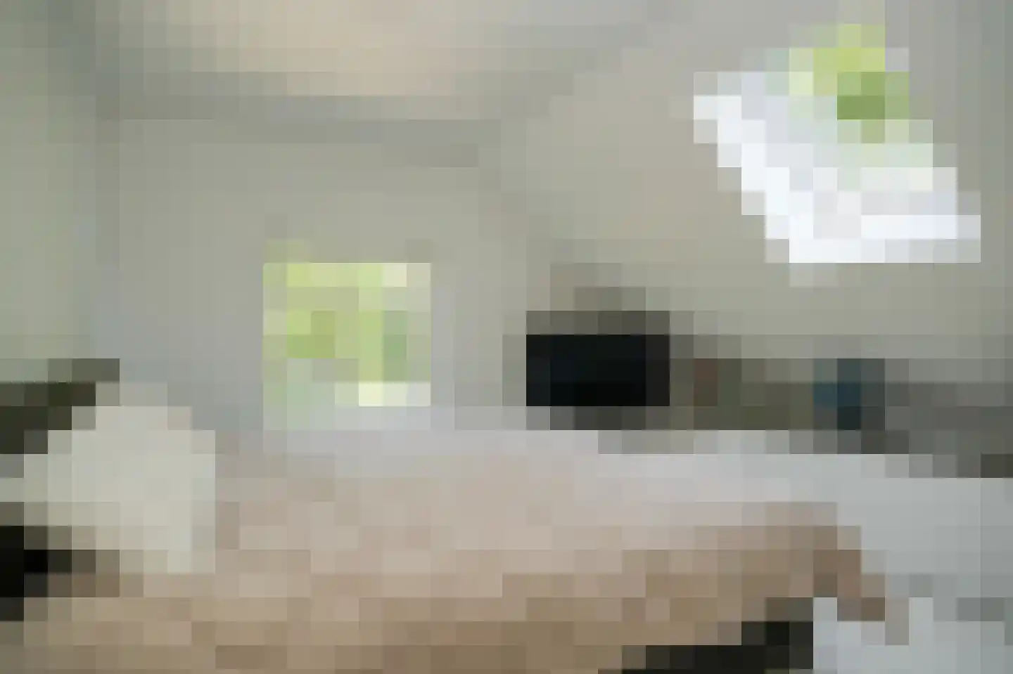 Sterrenbos 1 Sint-Michielsgestel thumbnail 45