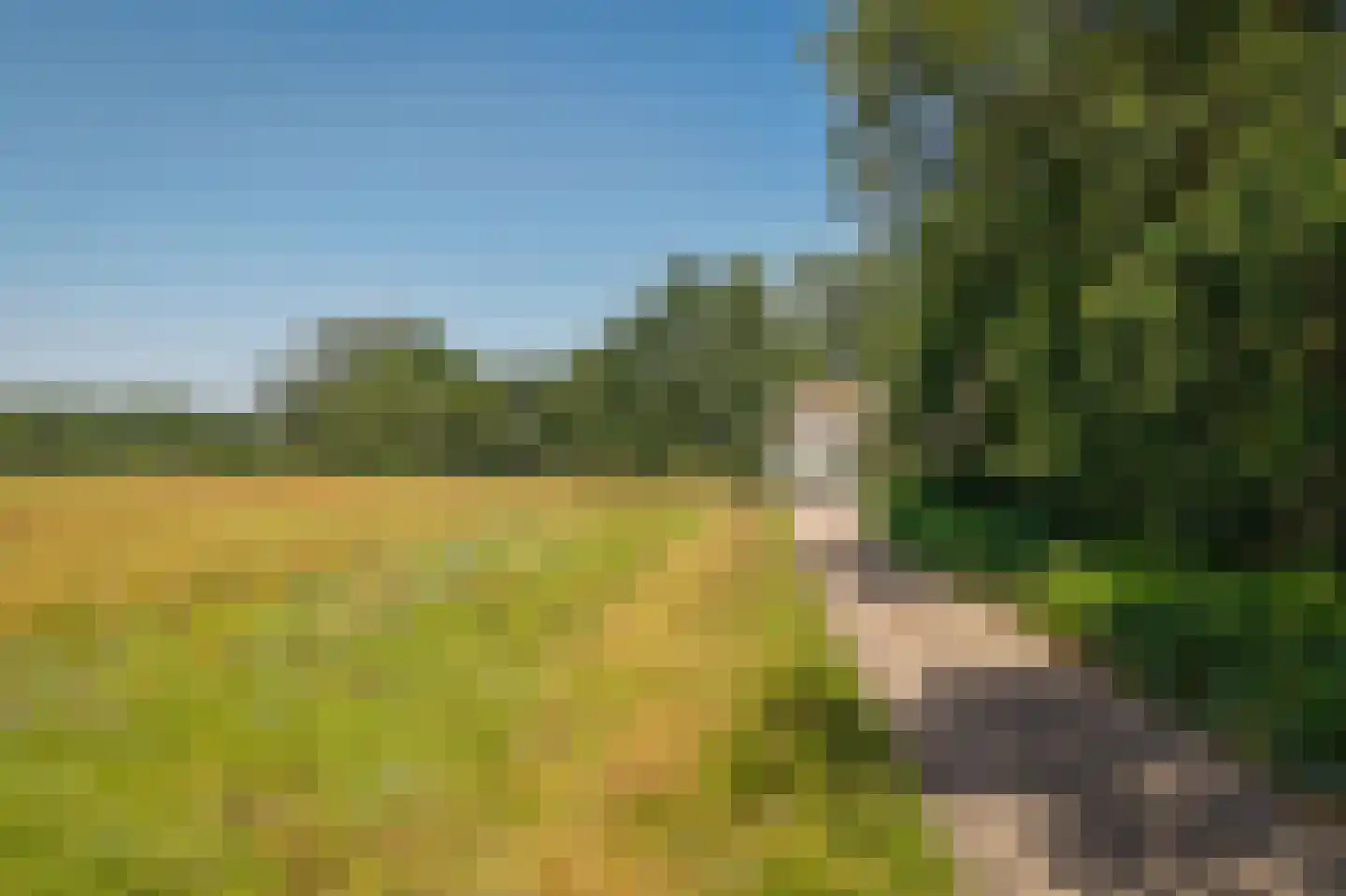 Sterrenbos 1 Sint-Michielsgestel thumbnail 5