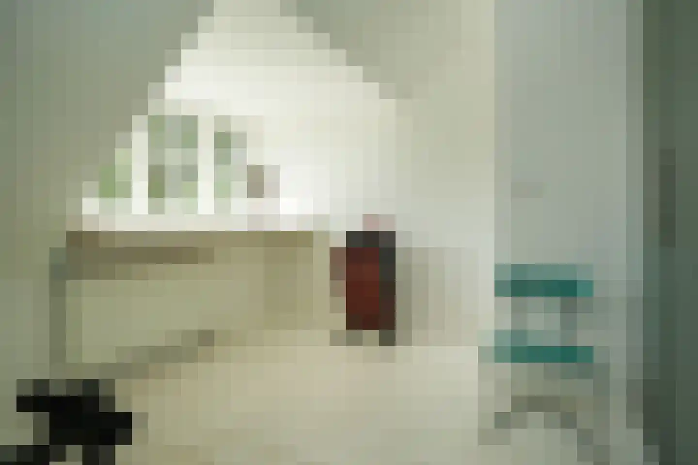 Sterrenbos 1 Sint-Michielsgestel thumbnail 51
