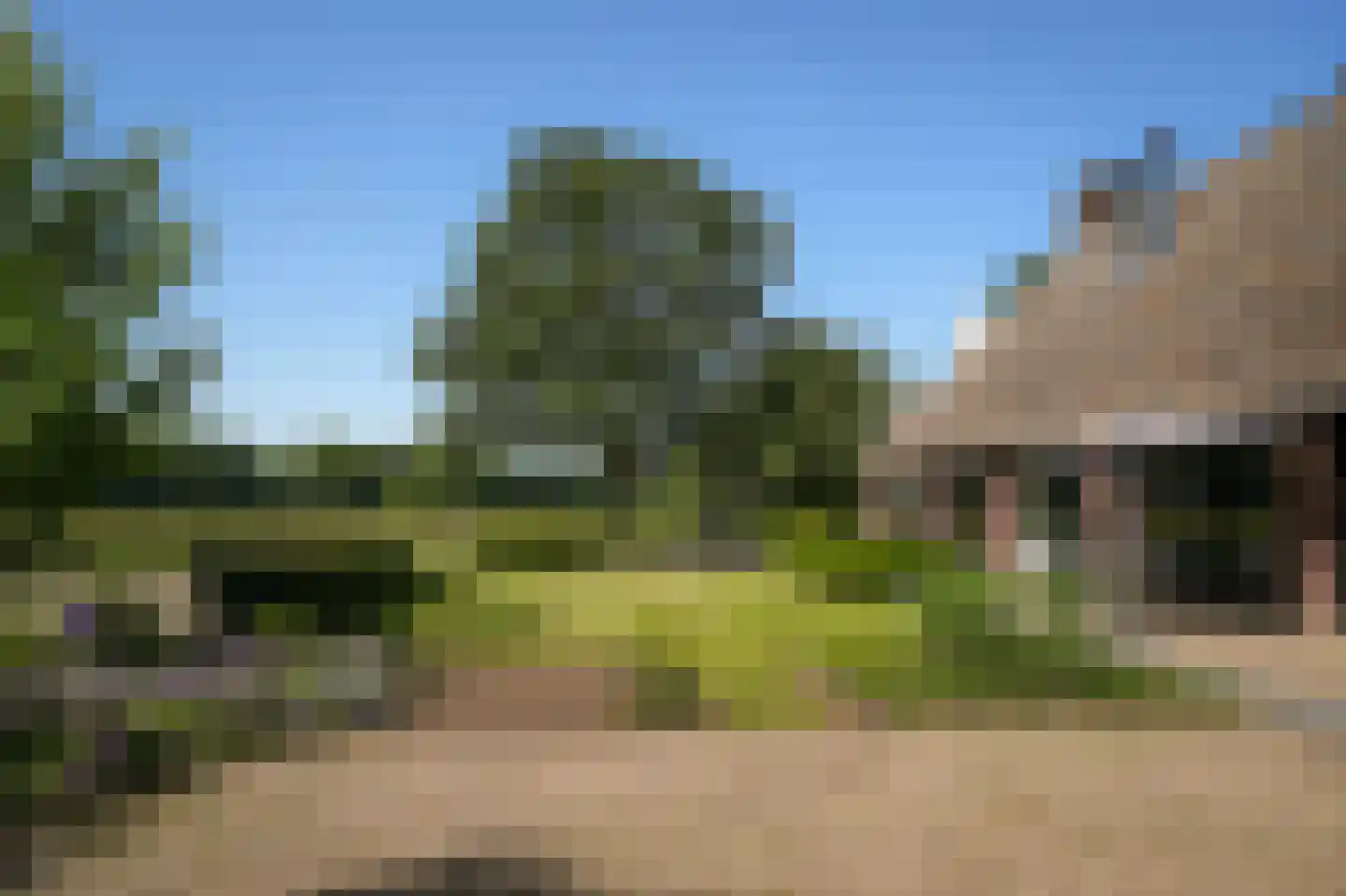 Sterrenbos 1 Sint-Michielsgestel thumbnail 56