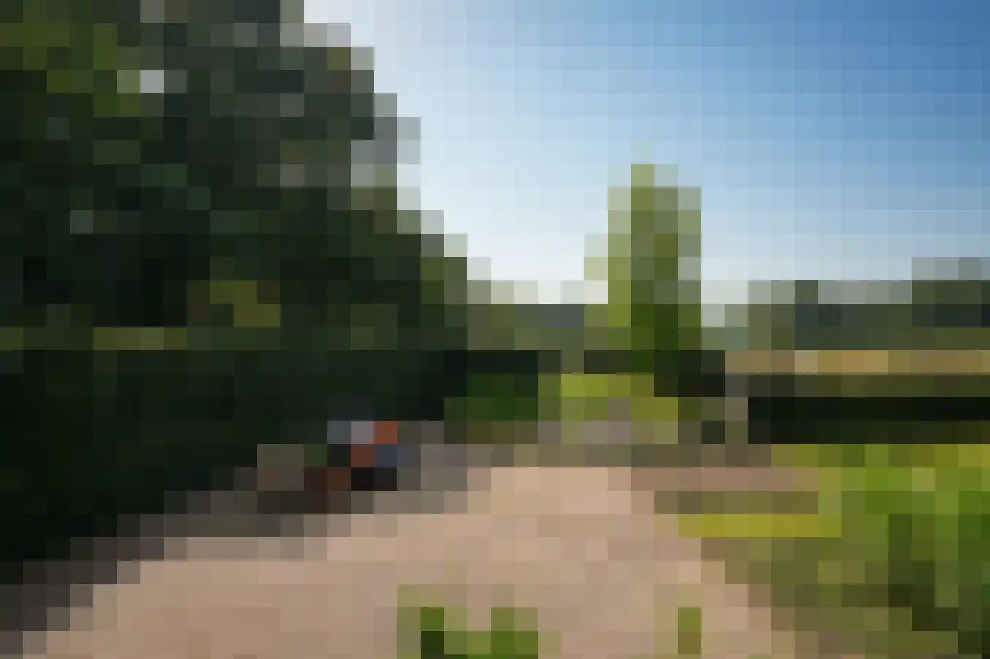 Sterrenbos 1 Sint-Michielsgestel thumbnail 57