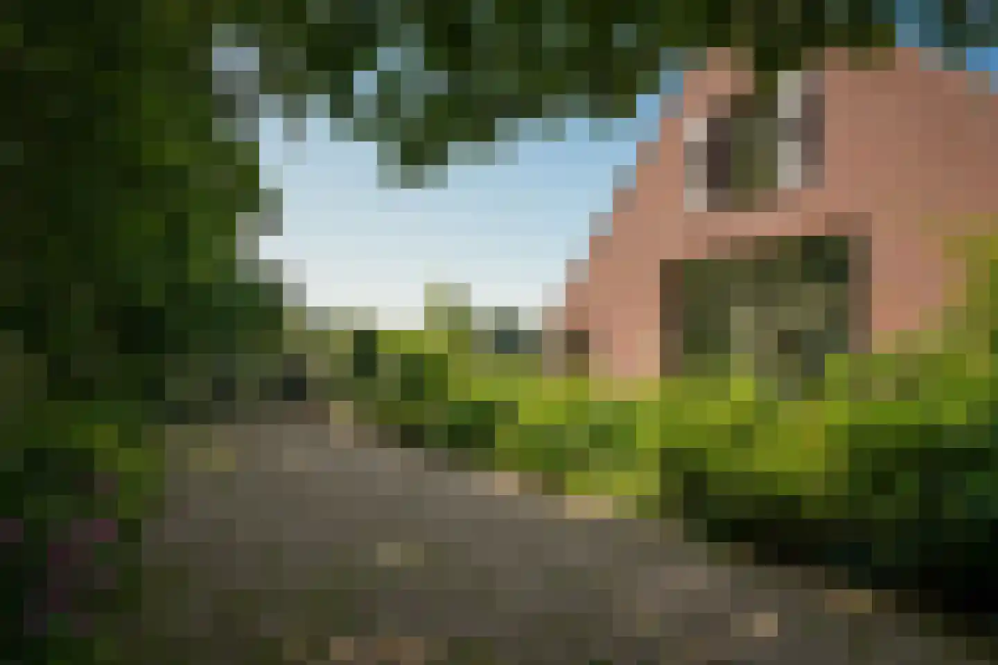 Sterrenbos 1 Sint-Michielsgestel thumbnail 59