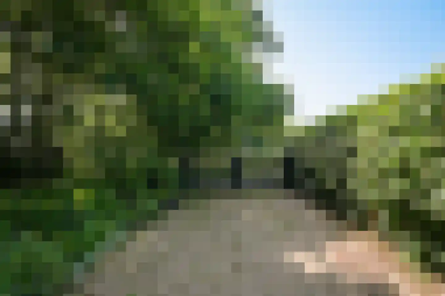 Sterrenbos 1 Sint-Michielsgestel thumbnail 61
