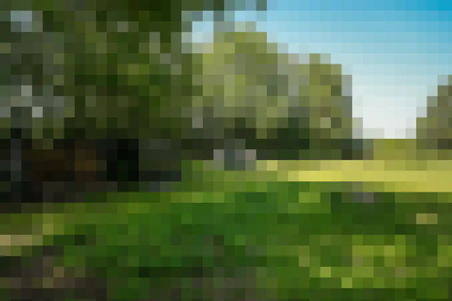 Sterrenbos 1 Sint-Michielsgestel thumbnail 66