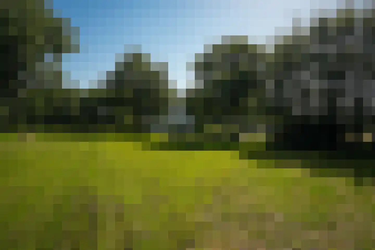 Sterrenbos 1 Sint-Michielsgestel thumbnail 67