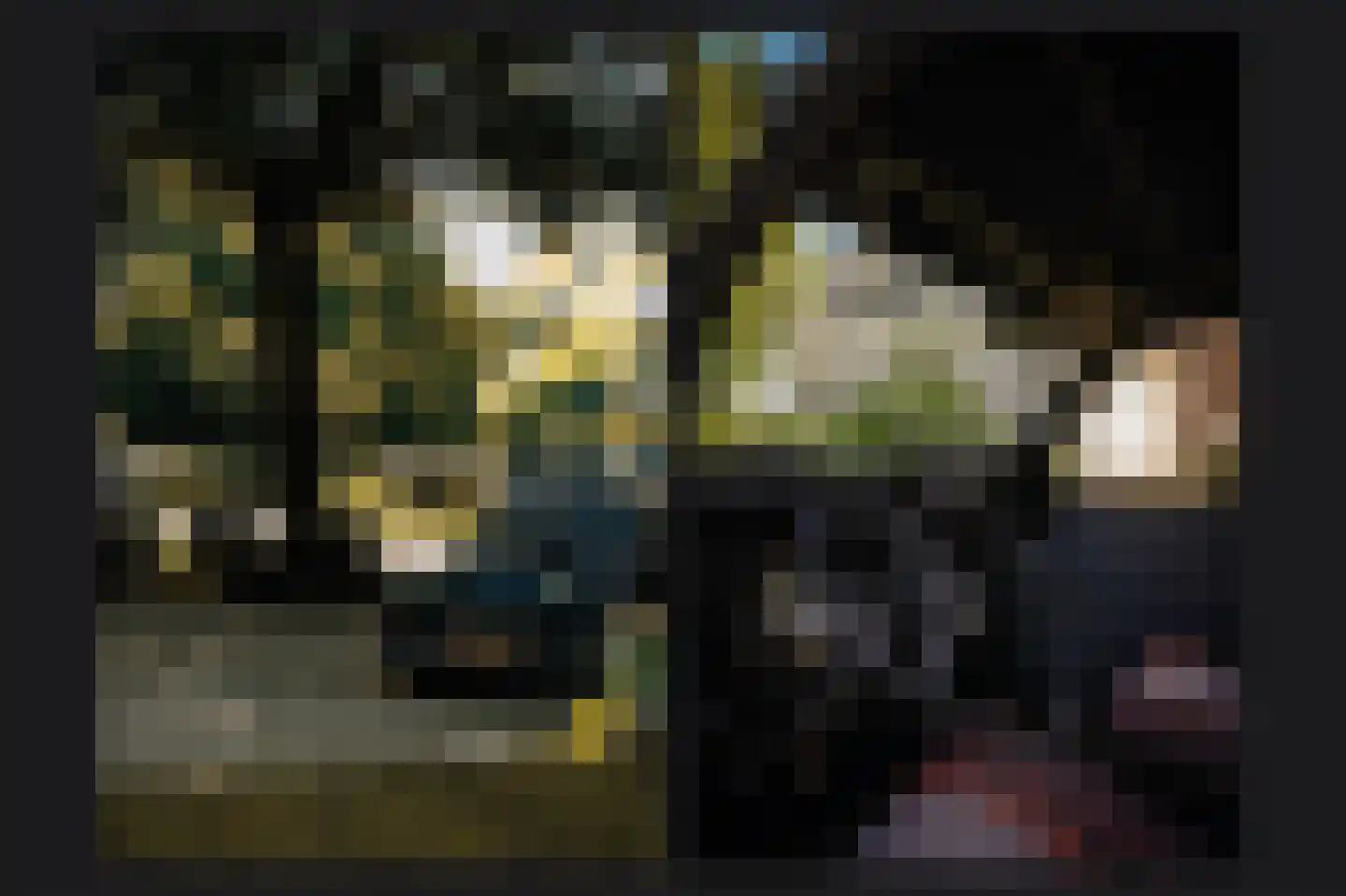 Sterrenbos 1 Sint-Michielsgestel thumbnail 69