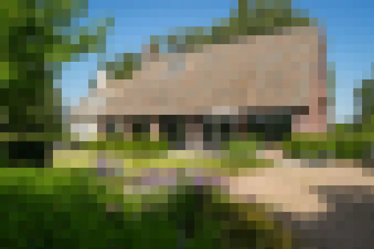 Sterrenbos 1 Sint-Michielsgestel thumbnail 7