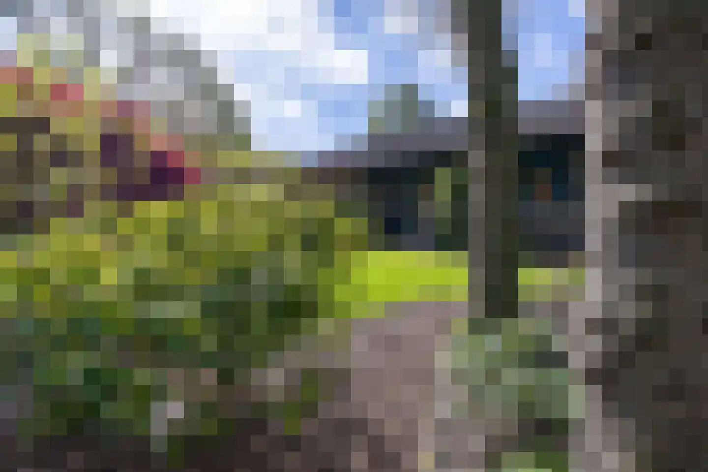 Sterrenbos 13 a Well L thumbnail 5