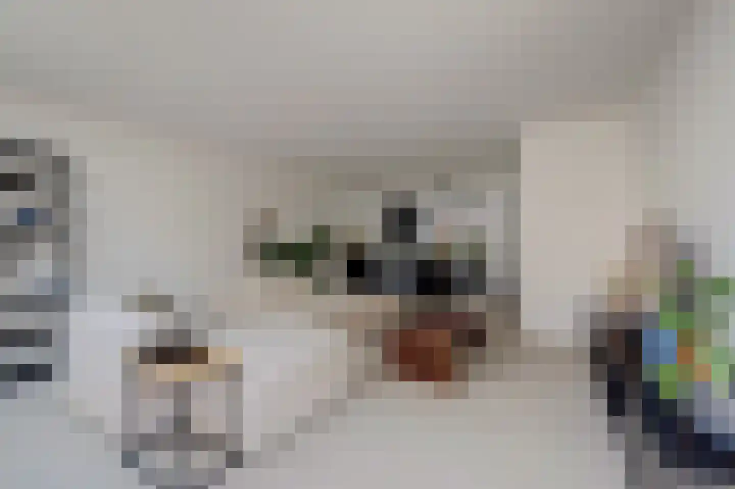 Sterrenbos 14 Ede thumbnail 10