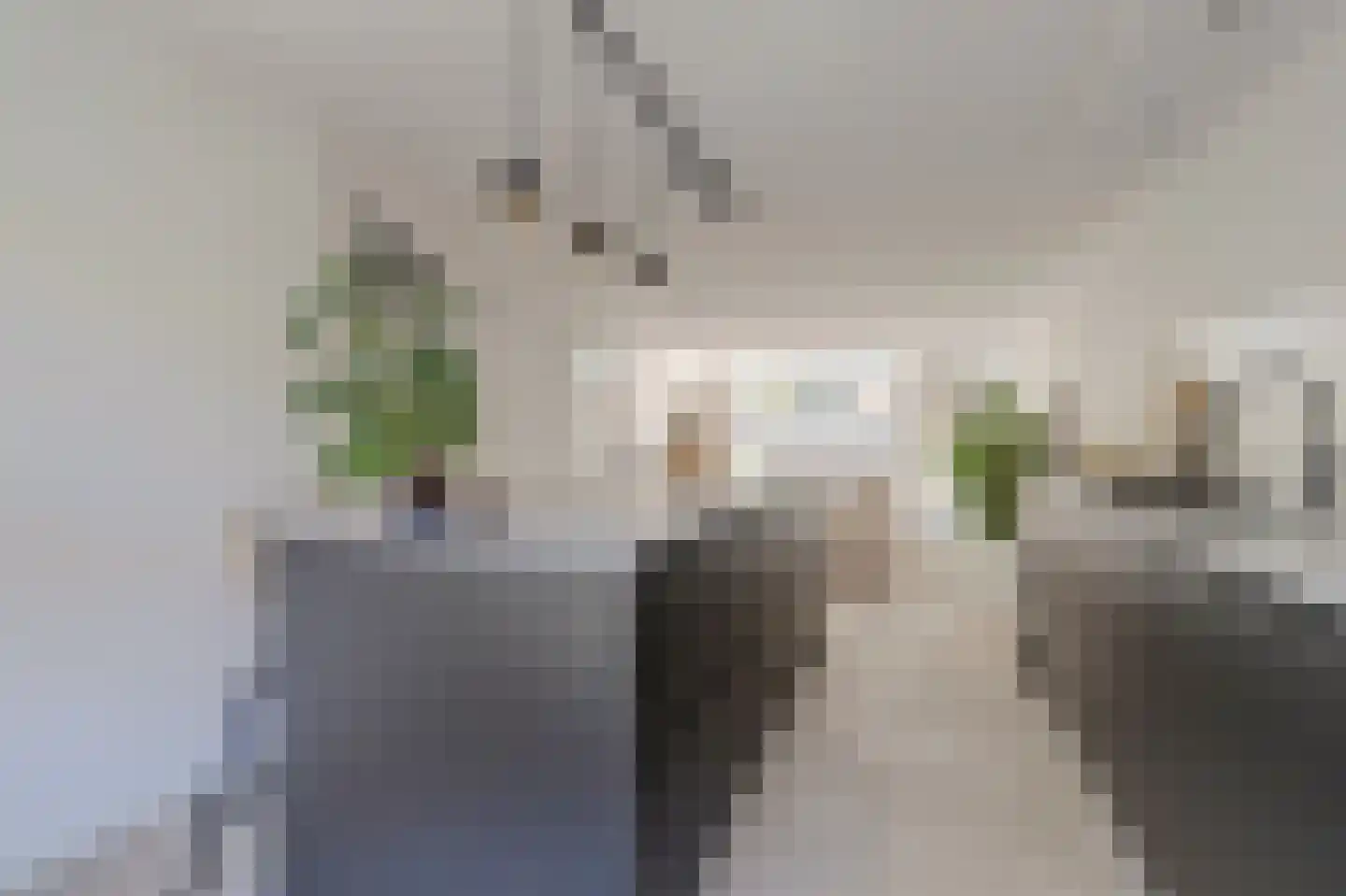 Sterrenbos 14 Ede thumbnail 18