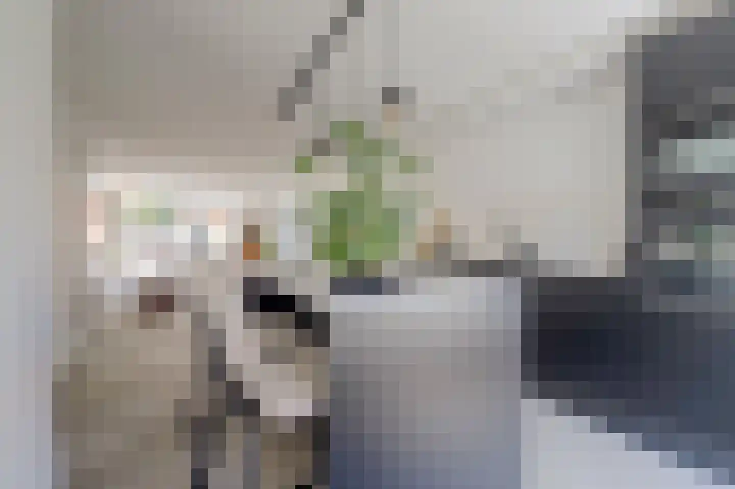 Sterrenbos 14 Ede thumbnail 19