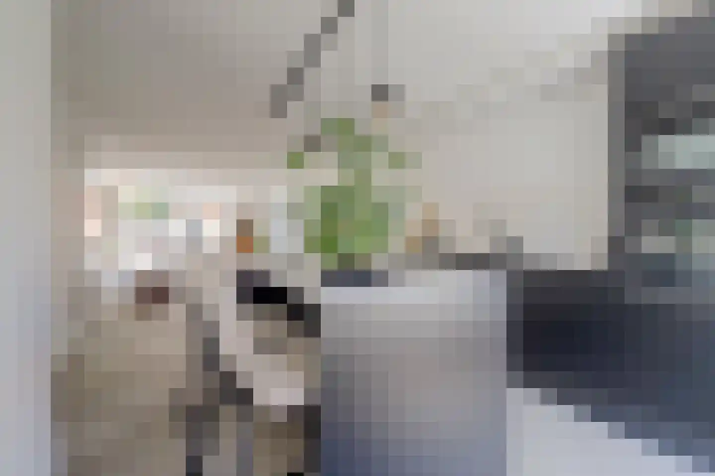 Sterrenbos 14 Ede thumbnail 4