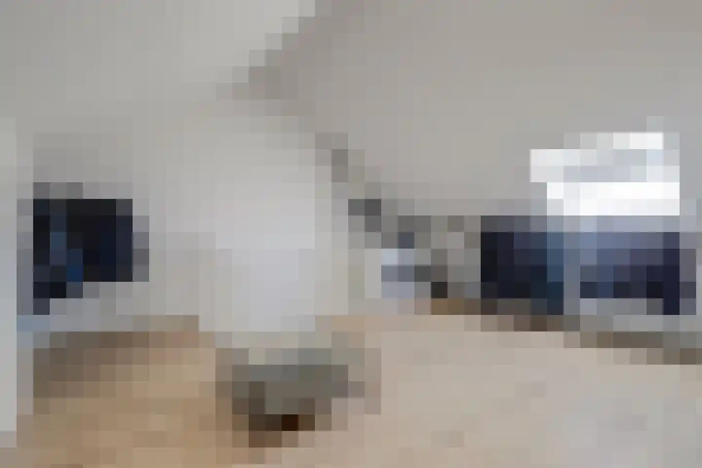 Sterrenbos 14 Ede thumbnail 42