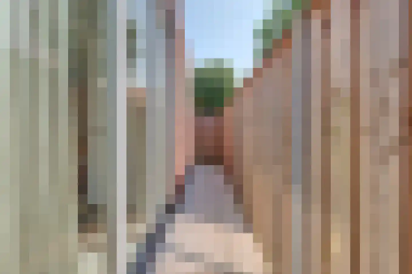 Sterrenbos 14 Ede thumbnail 43