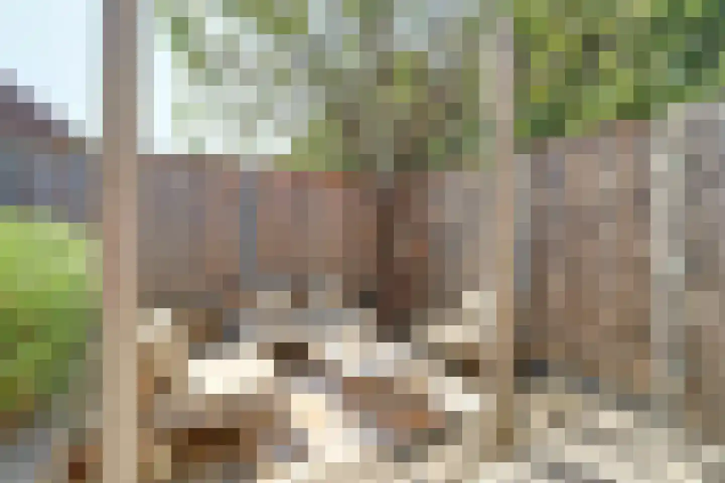 Sterrenbos 14 Ede thumbnail 45