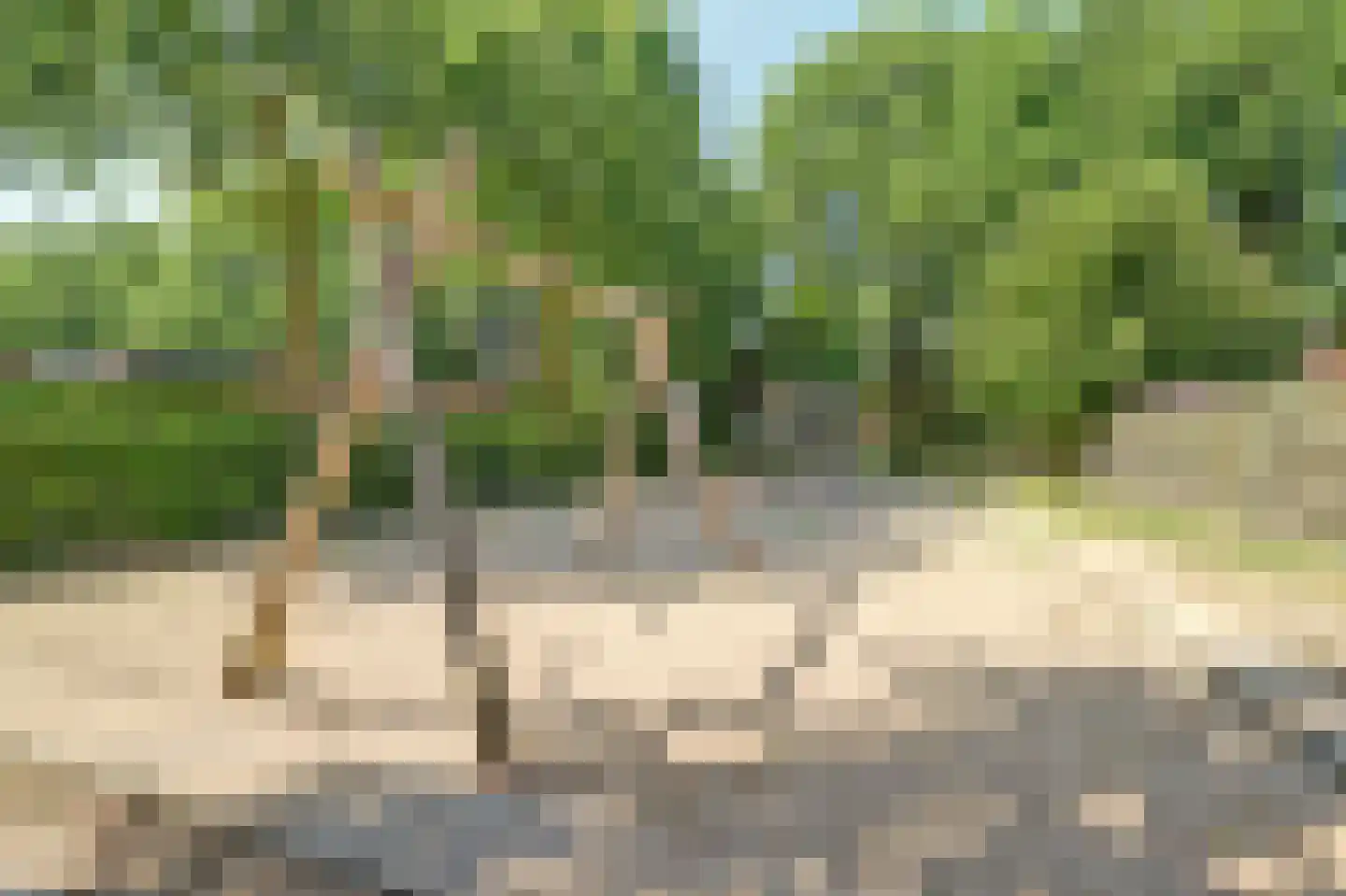 Sterrenbos 14 Ede thumbnail 50