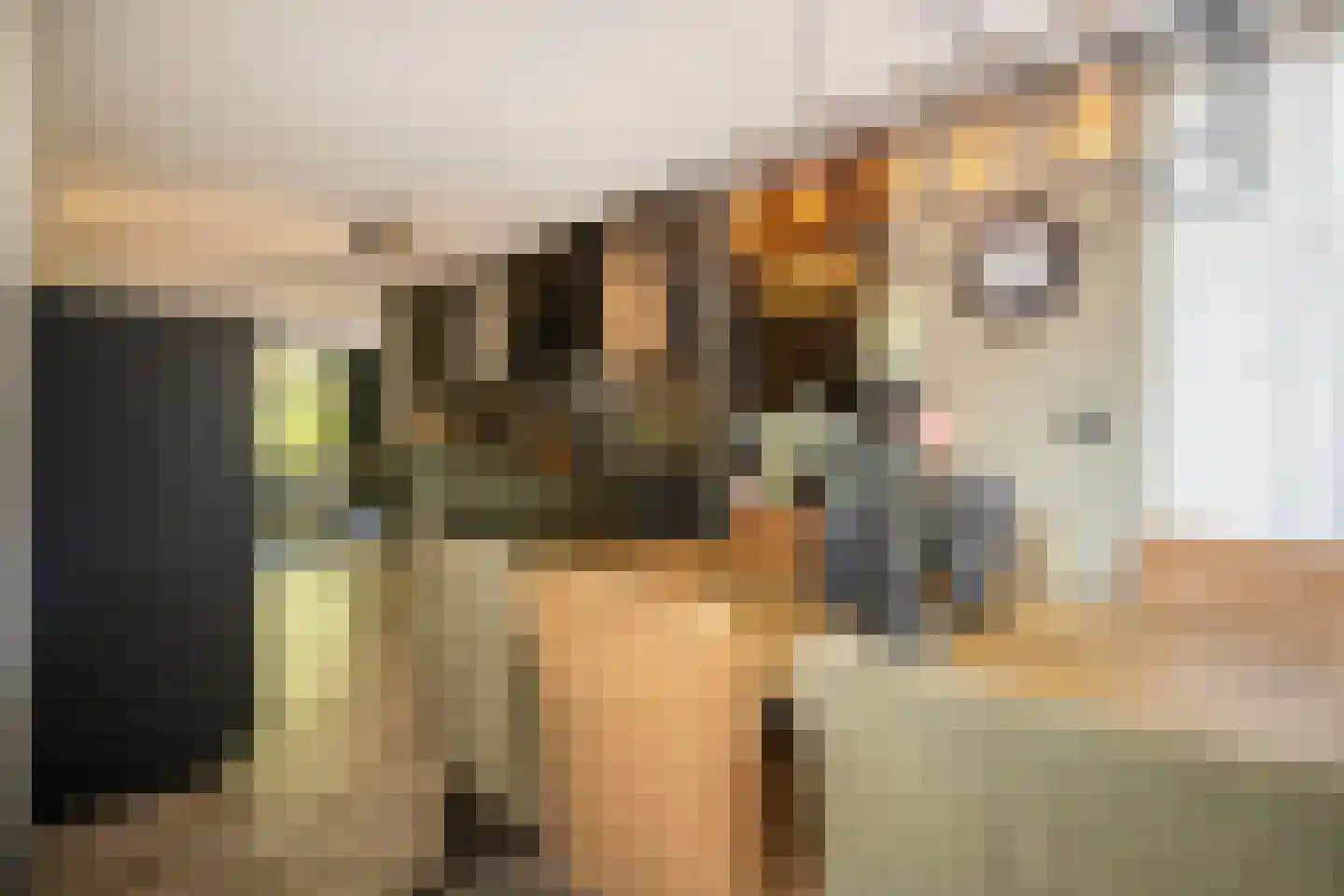 Sterrenbos 24 Ede thumbnail 16