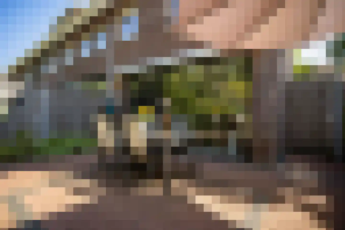 Sterrenbos 24 Ede thumbnail 36