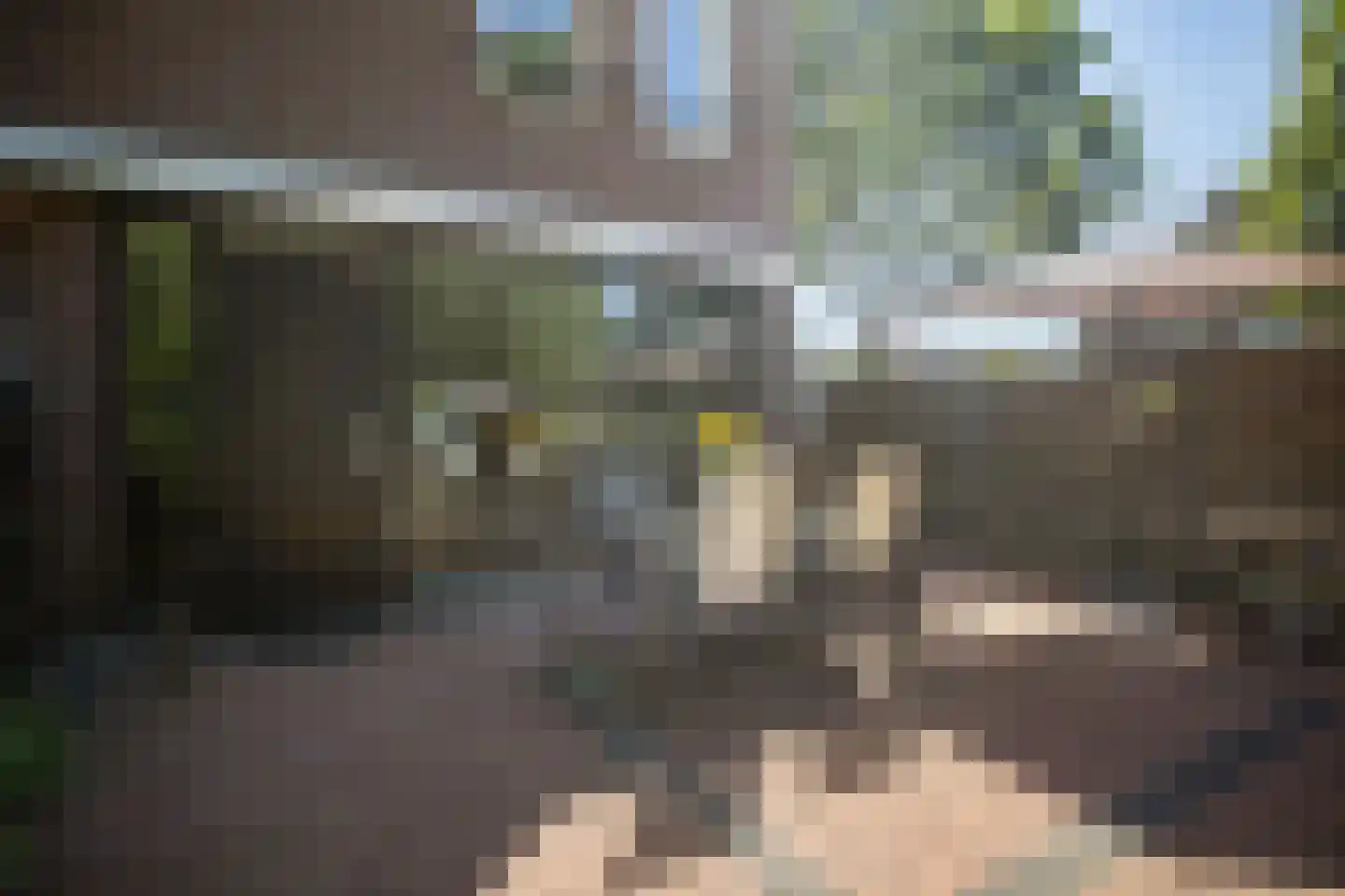 Sterrenbos 24 Ede thumbnail 37