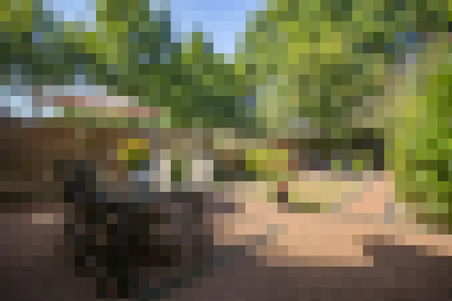 Sterrenbos 24 Ede thumbnail 38
