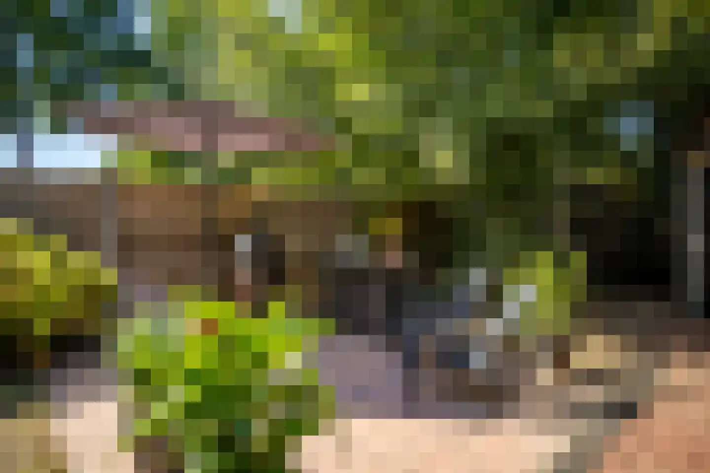 Sterrenbos 24 Ede thumbnail 39