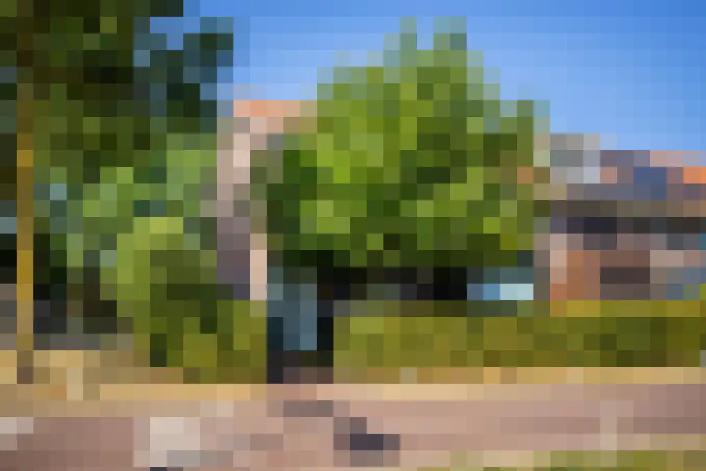 Sterrenbos 24 Ede thumbnail 4