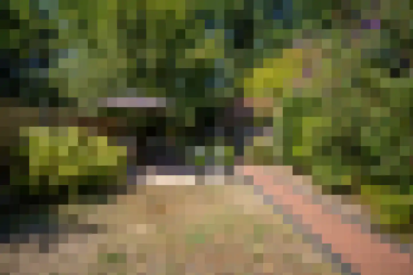 Sterrenbos 24 Ede thumbnail 40