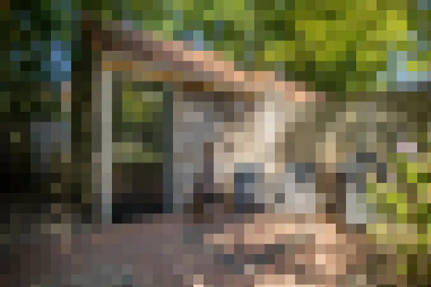 Sterrenbos 24 Ede thumbnail 41