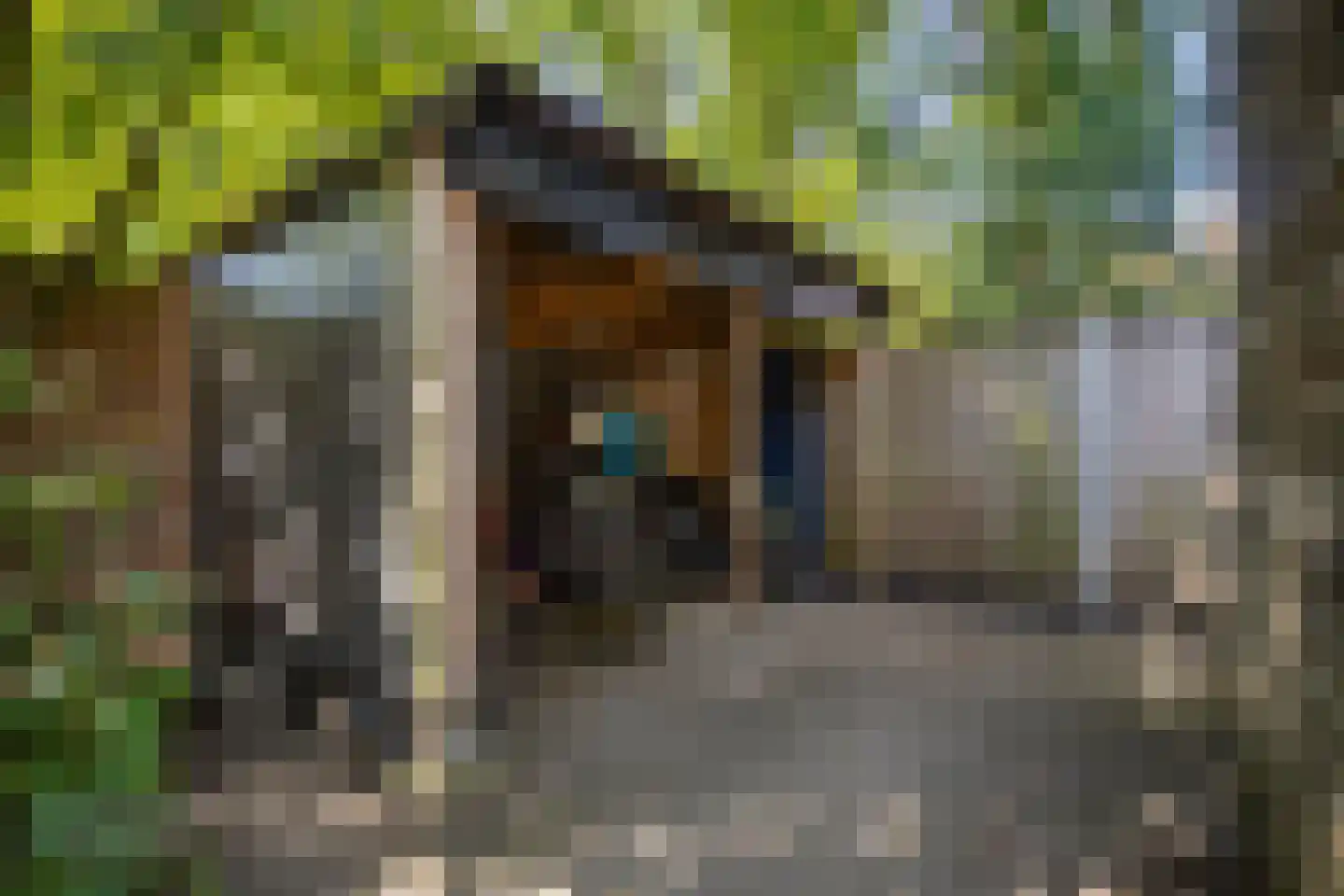 Sterrenbos 24 Ede thumbnail 42