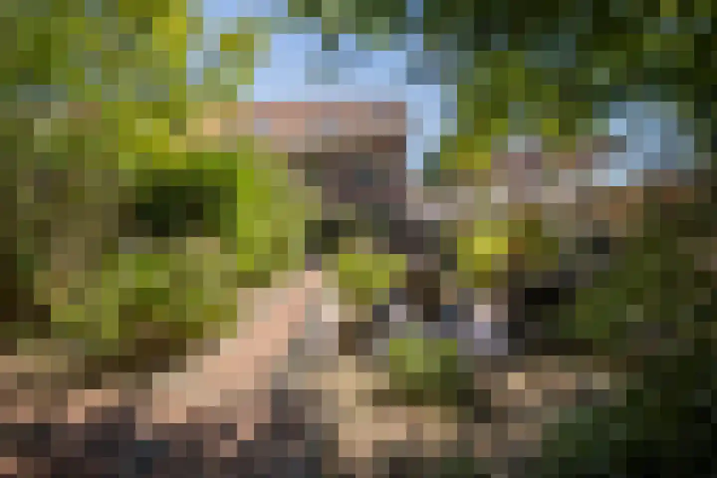 Sterrenbos 24 Ede thumbnail 43