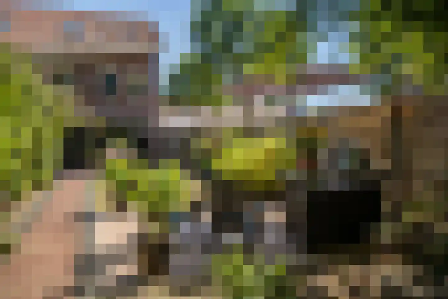 Sterrenbos 24 Ede thumbnail 45