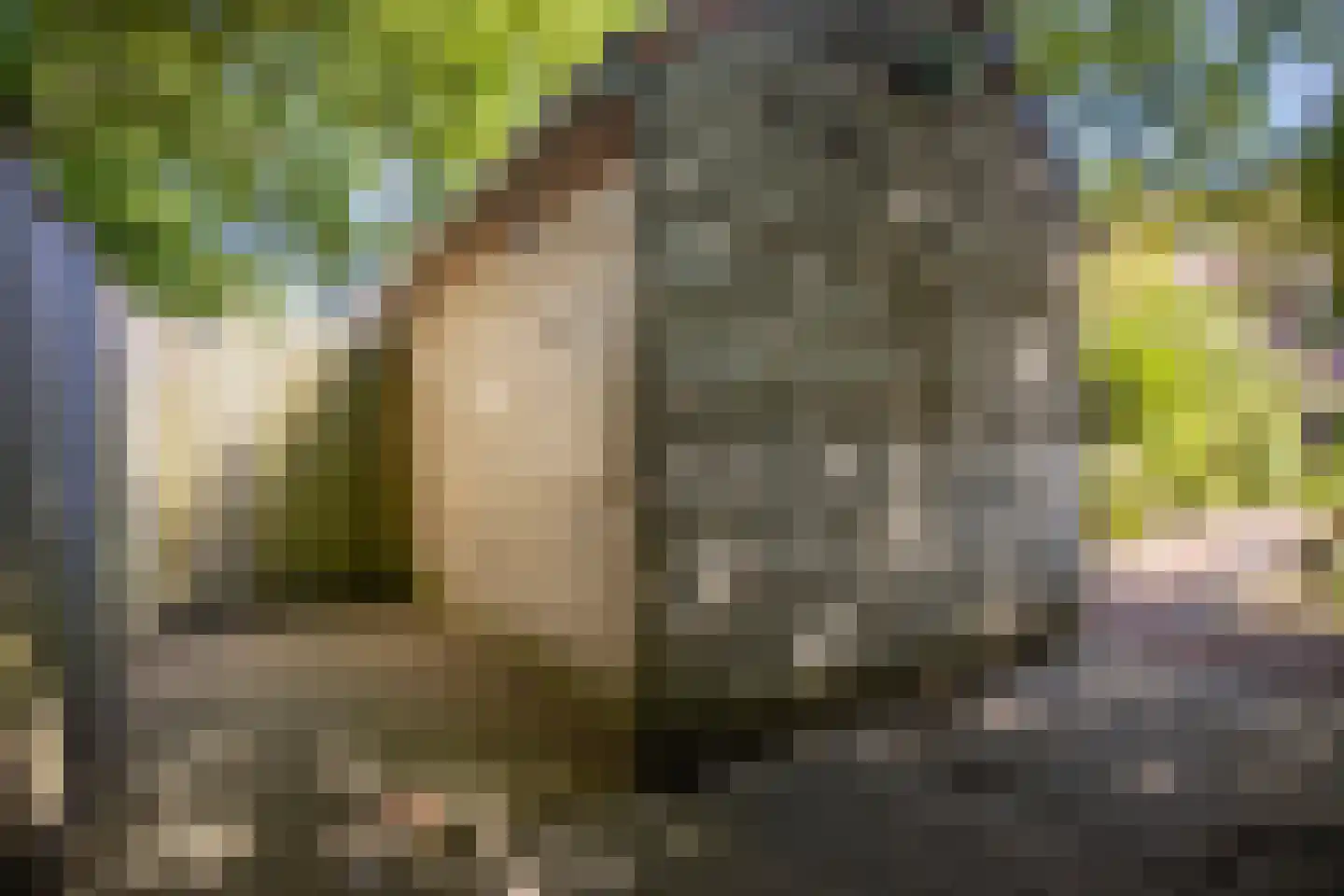 Sterrenbos 24 Ede thumbnail 46