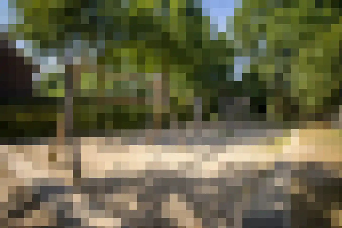 Sterrenbos 24 Ede thumbnail 48