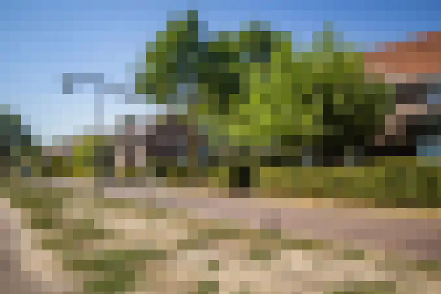Sterrenbos 24 Ede thumbnail 49