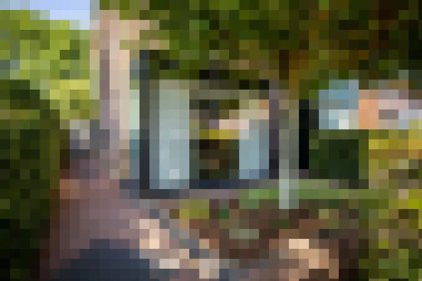 Sterrenbos 24 Ede thumbnail 5