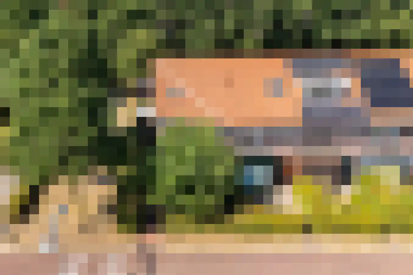 Sterrenbos 24 Ede thumbnail 52