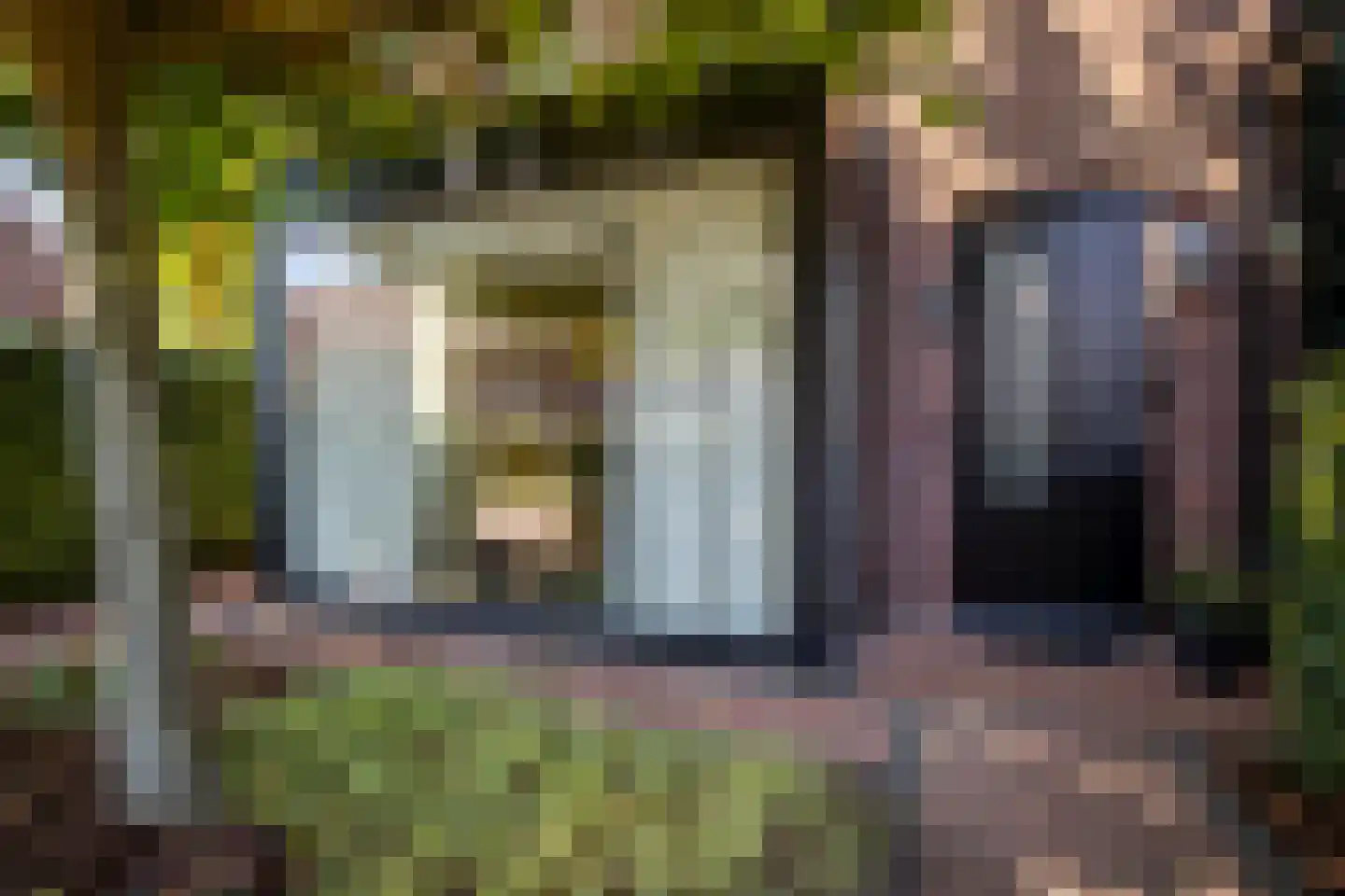 Sterrenbos 24 Ede thumbnail 6