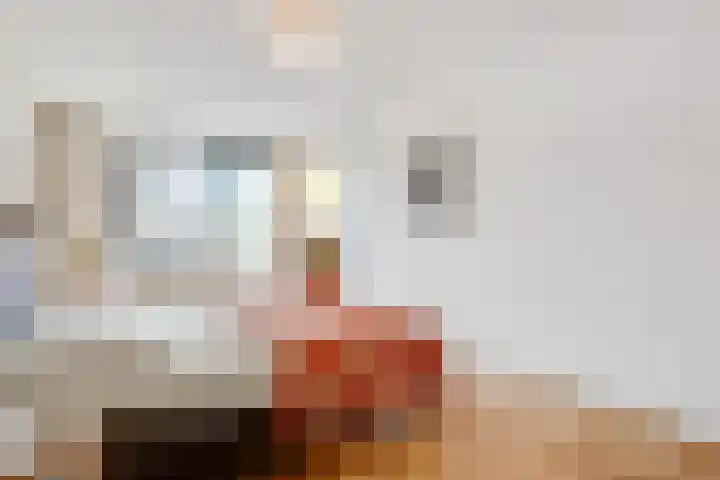 Sterrenbos 47 Utrecht thumbnail 11
