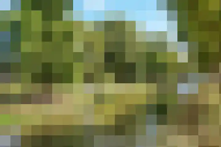 Sterrenbos 47 Utrecht thumbnail 24