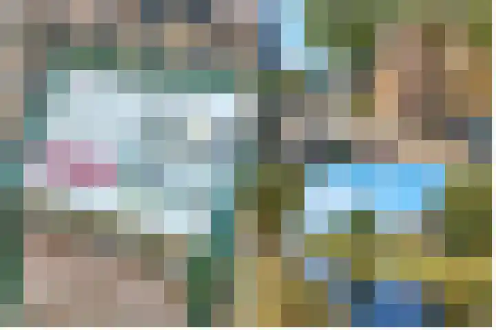 Sterrenbos 47 Utrecht thumbnail 25