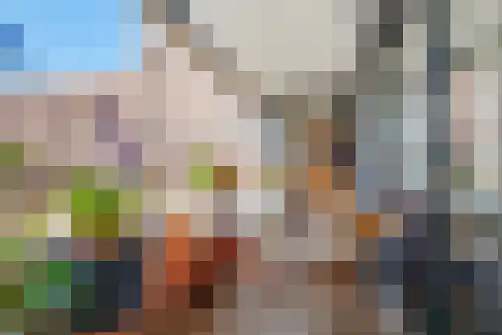 Sterrenbos 47 Utrecht thumbnail 4