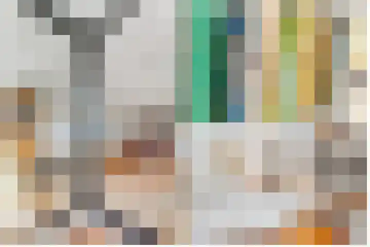 Sterrenbos 47 Utrecht thumbnail 7