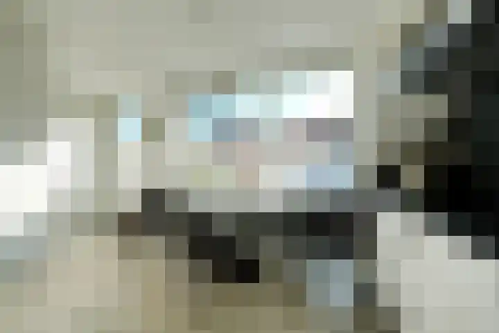 Sterrenbos 63 Ede thumbnail 9