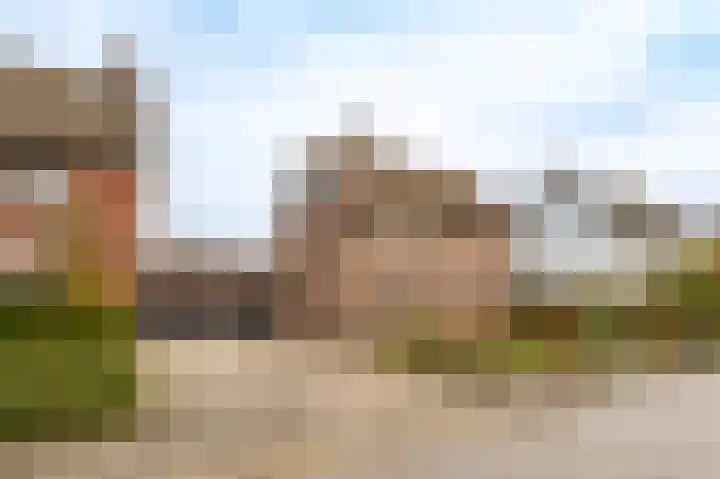 Sterrenbos 66 in Well L