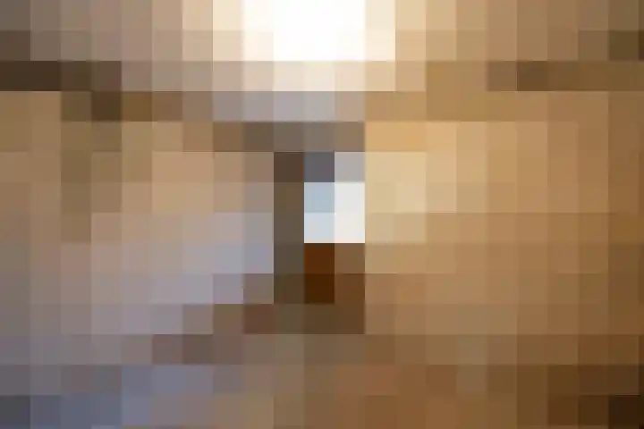 Sterrenbos 66 Well L thumbnail 27